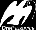 Orel husovice logo